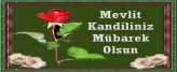 Resmi bytmek iin tklaynz